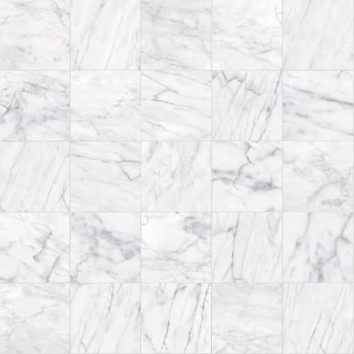 Maximus 18x18 in Carrara Tile
