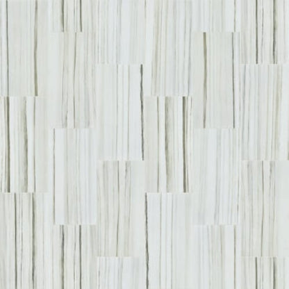 CASINO 12X24 POLISH in Zebrino Tile