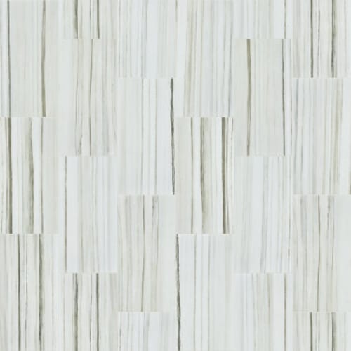 CASINO 12X24 POLISH in Zebrino Tile