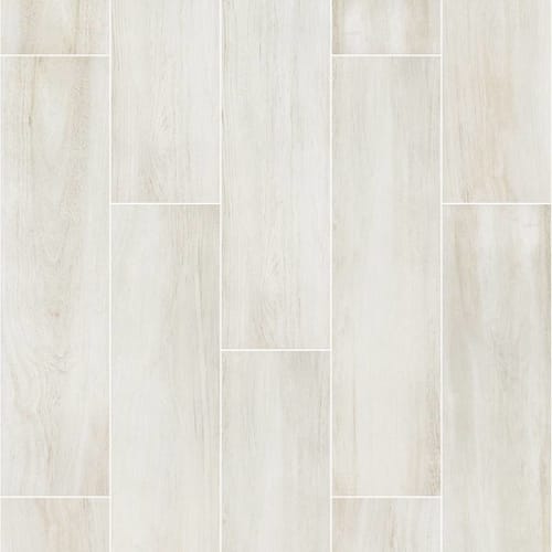 Valentino 8x32 in Action Tile