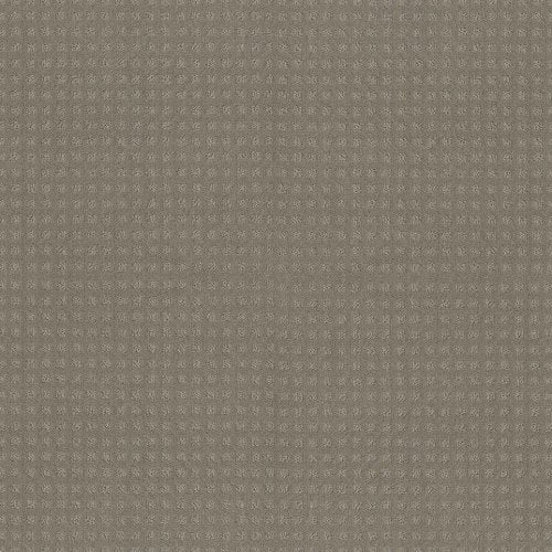 Nottingham in Platinum Mist*** Carpet