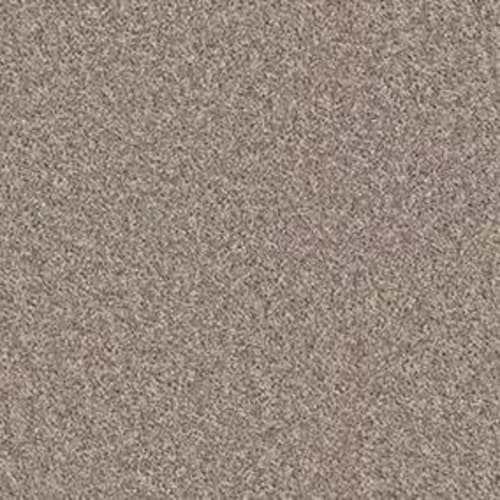 All Star Weekend I 12' in Aloe Carpet