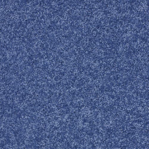 Kid Crossing in Cobalt Vibe Carpet