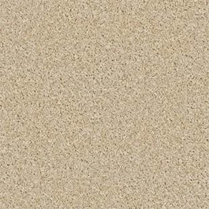 Vitalize (S) 12' in Etching Carpet