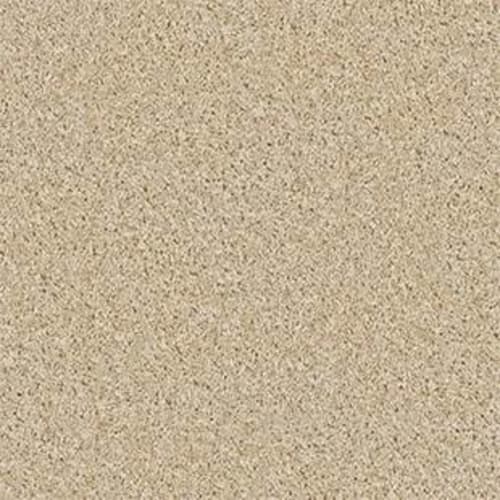 Vitalize (S) 12' in Etching Carpet