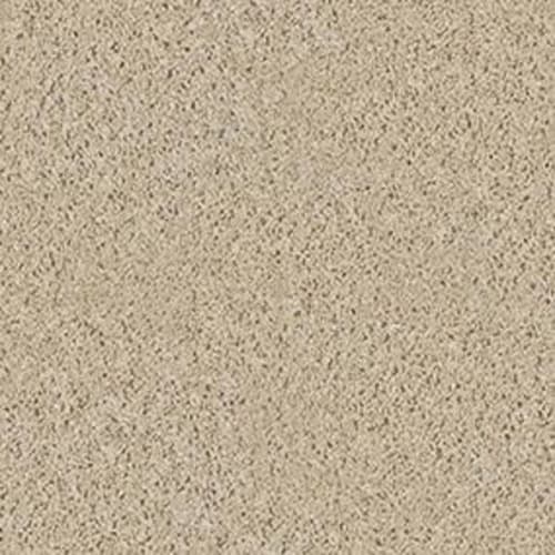 Fusion Value 300 in Putty Carpet