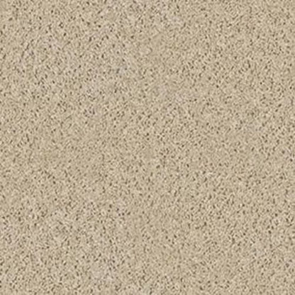 Fusion Value 300 in Putty Carpet