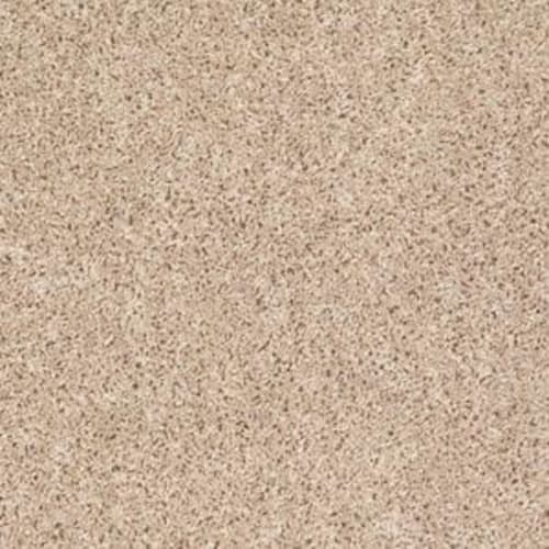 Let's Go (S) in Surf Side Carpet