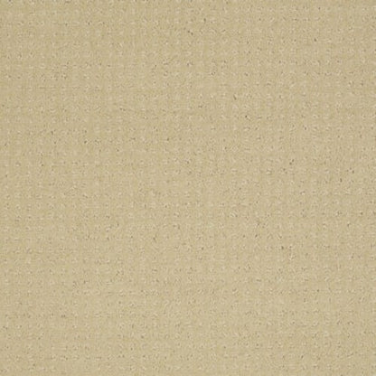 Enduring Comfort Pattern in Chamois Carpet