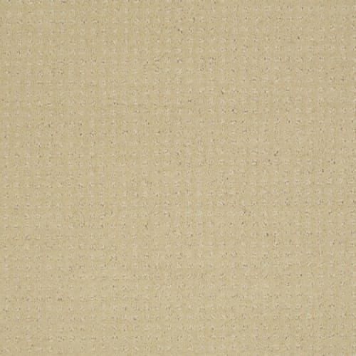 Enduring Comfort Pattern in Chamois Carpet