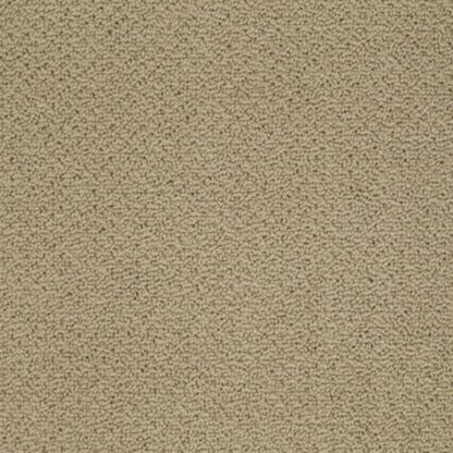Timeless Charm Loop in Cologne Mist Carpet