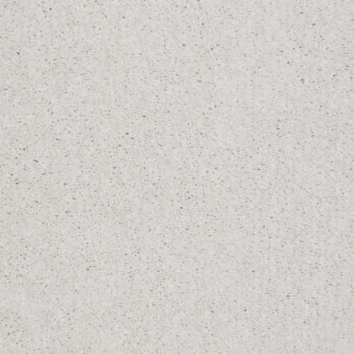 Well Played I 12' in Fresco Carpet