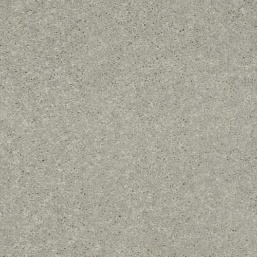 Well Played I 15' in Dove Tail Carpet