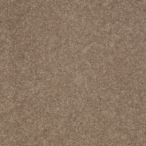 Well Played II 15 in Pebble Creek Carpet