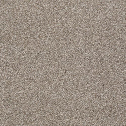 You Know It in Sombrero Carpet