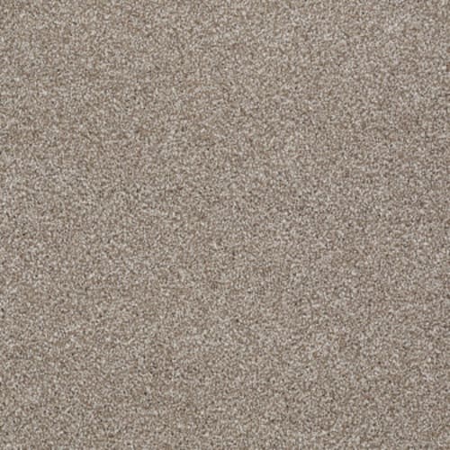 You Know It in Sombrero Carpet
