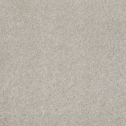 That's Right in Greige Carpet