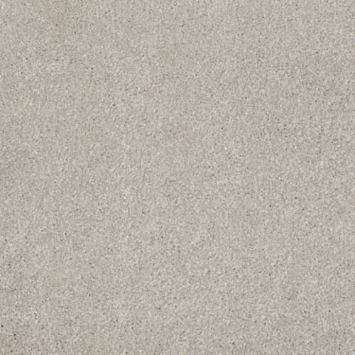 That's Right in Greige Carpet