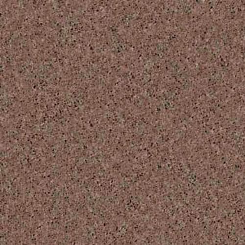 Newbern Classic 12' in Driftwood Carpet