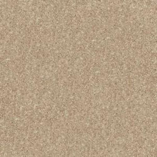 NEWBERN CLASSIC 15' in Straw Hat Carpet
