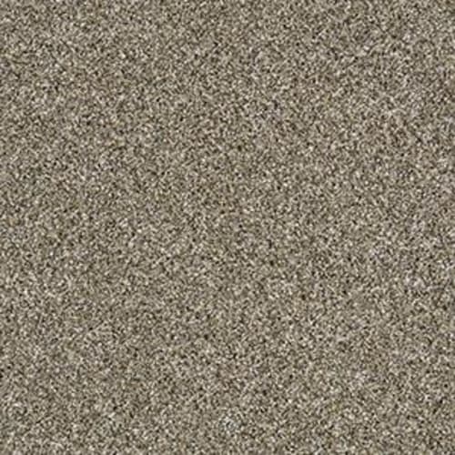 SHAKE IT UP (A) in Fox Fur Carpet