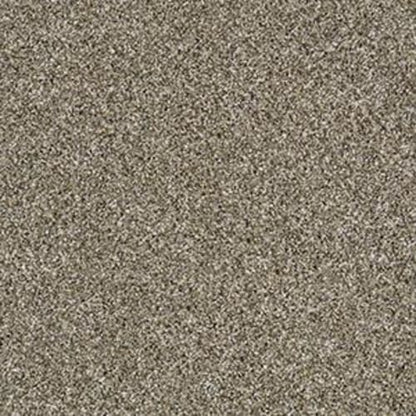 SHAKE IT UP (A) in Fox Fur Carpet