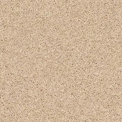 SHAKE IT UP (S) in Desert Sand Carpet