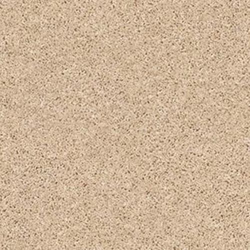 SHAKE IT UP (S) in Desert Sand Carpet