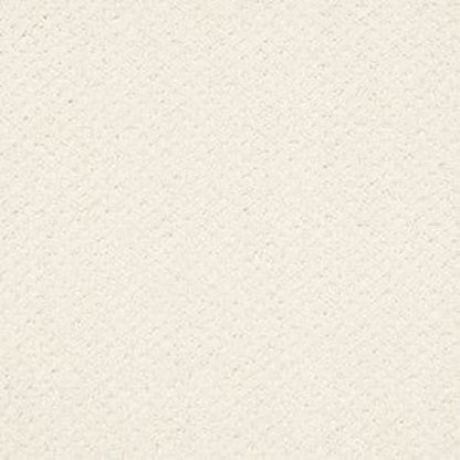 INFALLIBLE INSTINCT in Crisp Linen Carpet