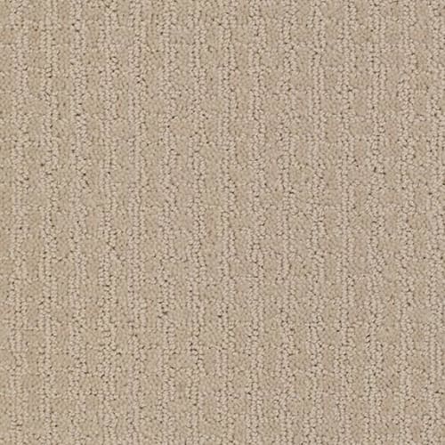 COMPLETE CONTROL in Boutique Carpet