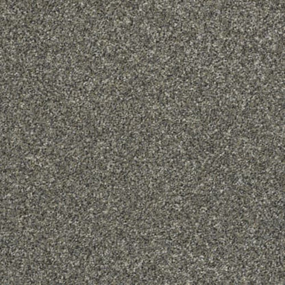 ALL OVER IT I in Granite Dust Carpet