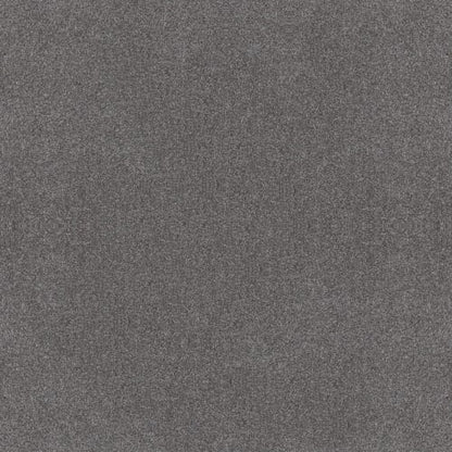 ALL OVER IT II in Sparrow Carpet