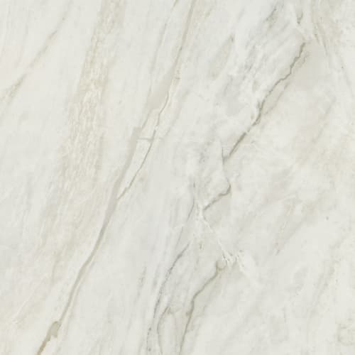 Famed in Iconic 24x24 Tile
