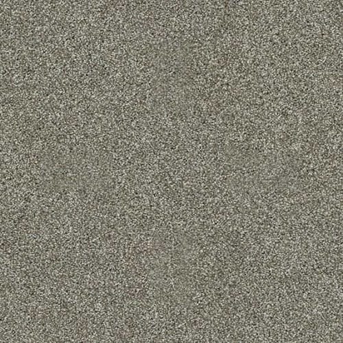 Sunset Blvd in Pewter Carpet