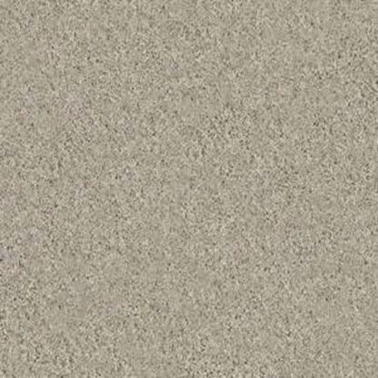 Butterfly Kisses 1 in Field Stone Carpet