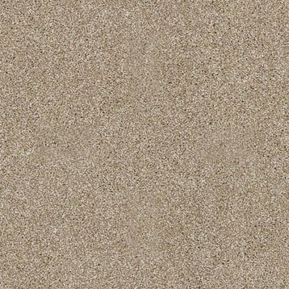 Vacation Day in Canvas Carpet