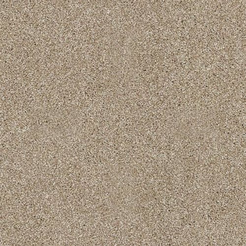 Vacation Day in Canvas Carpet