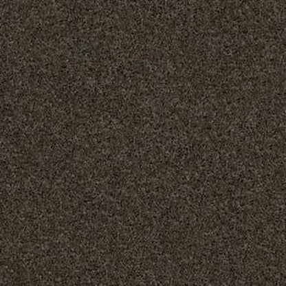In A Twinkling in Green House Carpet