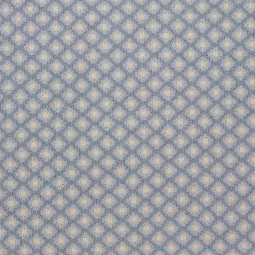 Matisse in Blue Sky Carpet