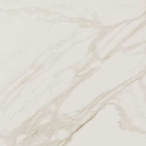 Perpetuo in Brilliant White 12x12 Tile