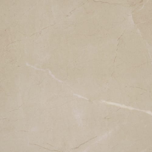 Perpetuo in Elegant Beige 12x12 Tile