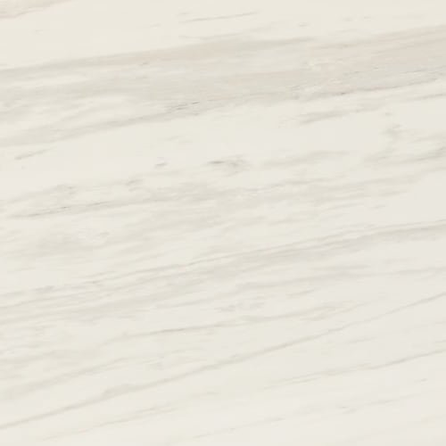 Perpetuo in Timeless White 12x24 Tile