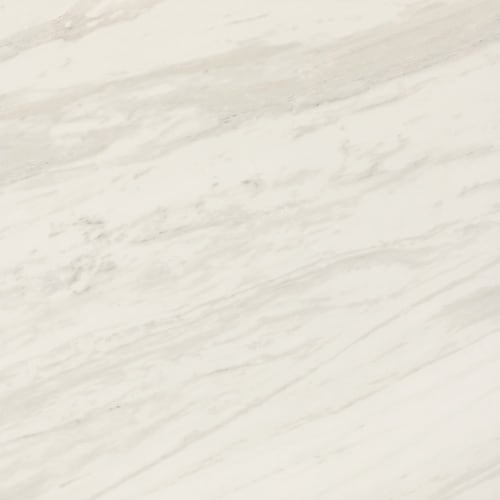 Perpetuo in Timeless White 24x24 Tile