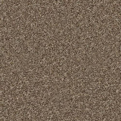 COMMANDING TONAL in Rodeo Carpet