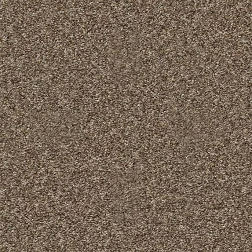 COMMANDING TONAL in Rodeo Carpet
