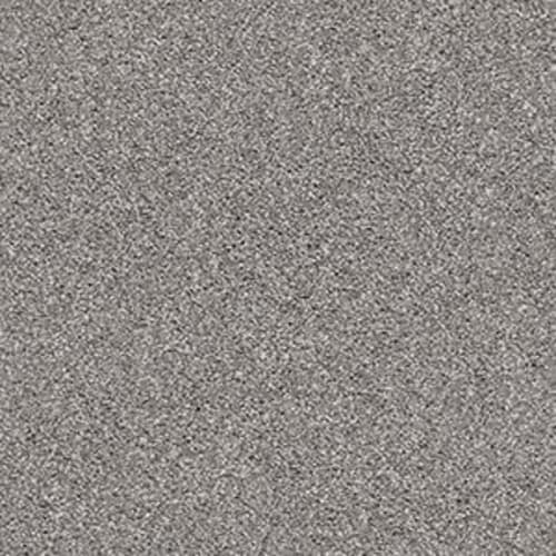 STARDOM in Tree Trunk Carpet
