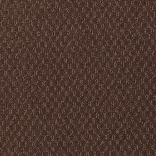 Elements in Chatter Box Carpet