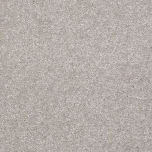 Roadster in Silk Moire Carpet
