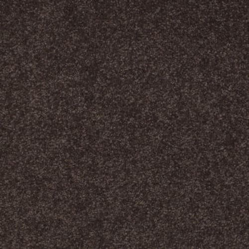 Sandy Hollow I 15' in Tundra Carpet