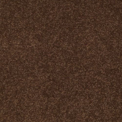 Sandy Hollow II 12' in Tortoise Shell Carpet